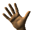 Hand20.gif (14606 bytes)